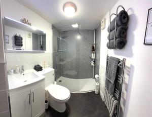 a bathroom with a shower and a toilet and a sink at Modern 2 bedroom Flat in Montrose in Montrose +9 photos