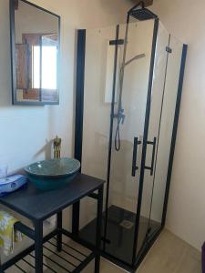 a bathroom with a glass shower and a sink at Dúplex les Coromines in San Pedro Sallavinera
