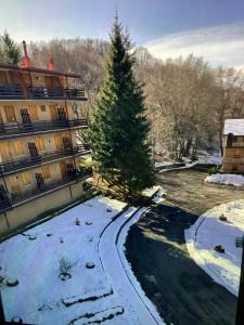 a christmas tree in the snow in front of a building at A casa di Giulia in Filettino