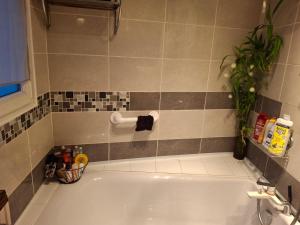 eine Badewanne mit einer Pflanze im Badezimmer in der Unterkunft Caro in Eu