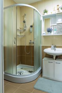 a shower with a glass door in a bathroom at Apartman Bn Vlasic in Vlasic +27 photos
