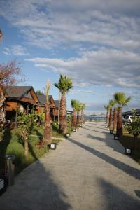 a walkway lined with palm trees on a beach at Palm Garden in Korucuk