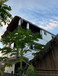 a tree in front of a building with a building at Villa Magic in Nosy Be