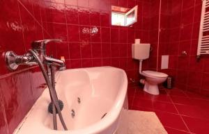 a red bathroom with a tub and a toilet at Casa Dalia 1 in Sighişoara +73 photos