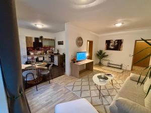 a living room with a couch and a kitchen at Macabu Apartment Porto in Plauen
