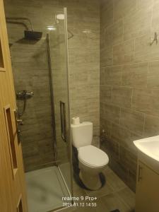 a bathroom with a toilet and a shower at Noclegi Spoko in Mąchocice