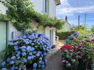 a bunch of flowers on the side of a house at L Oustal Henri-La Primaube-3 chambres in Luc