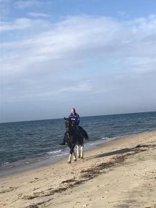 a man riding a horse on the beach at Κτήμα Ανάσες Ζωής- Ευγενία Σγούρα in Epanomi