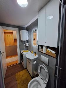 a bathroom with a toilet and a sink at Tiha noć II Vrnjačka Banja in Vrnjačka Banja +29 photos