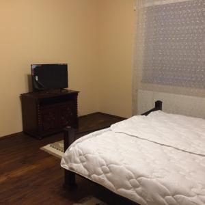 1 dormitorio con cama y vestidor con TV en Bereg-Travel, en Beregovo