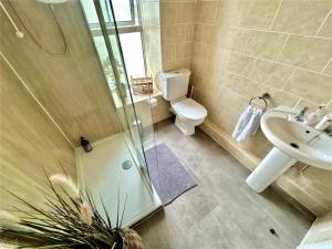 a bathroom with a shower and a toilet and a sink at Island View in Benllech