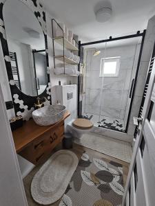 a bathroom with a shower and a sink and a toilet at Casa Apartament Refugiul Dornean in Vatra Dornei