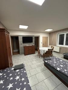 a room with a bed and a table with a television at Penzion u Fika in Ostrava