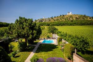 a garden with a swimming pool and a vineyard at Pod Svatým kopečkem in Mikulov