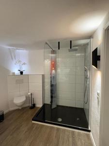 a bathroom with a shower and a toilet at Felsenhäuschen in Monschau