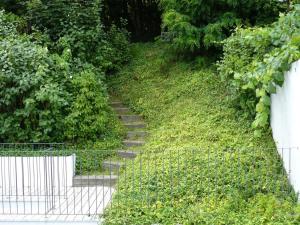 a path leading up a hill with a fence at Casa Blanca Łagów in Łagów