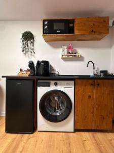 a kitchen with a washing machine under a counter at MR Tiny House - Private Parking in Roşu +17 photos