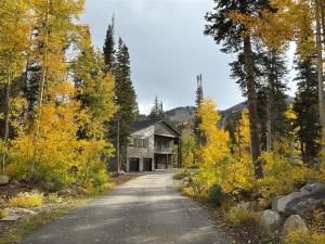 a road leading to a house in the woods at Silverview Lodge in Brighton