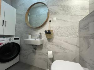 a bathroom with a sink toilet and a mirror at Rolling Hills Holiday Haven in Odorheiu Secuiesc +36 photos