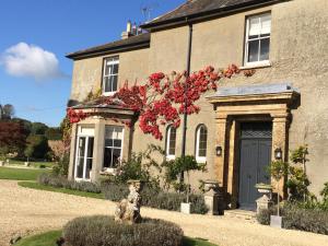 安斯蒂的住宿－Higher Melcombe Manor，一座石头房子,有蓝色的门和红色的鲜花