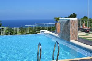 a swimming pool with two metal rails next to a fence at Villa De Shalom in Ocho Rios