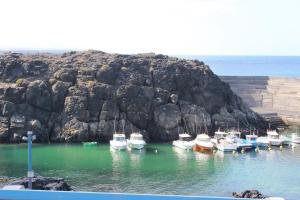a bunch of boats are docked in a harbor at Casa Sony El Cotillo in El Cotillo