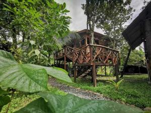 a wooden bridge in the middle of a forest at Tree House River in Palma