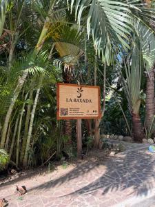 a sign in front of some palm trees at La baxada in Mazunte +4 photos