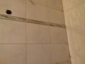 a bathroom with a shower with a tick on the wall at Vila Vera in Futog