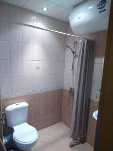 a bathroom with a toilet and a shower and a sink at Sunny Studio Eagle Rock in Beli Iskar +15 photos