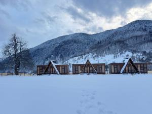a building in the snow in front of a mountain at Panorama Mazeri in Tvebishi