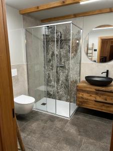 a bathroom with a shower and a toilet and a sink at Maso Walter in Pradellan