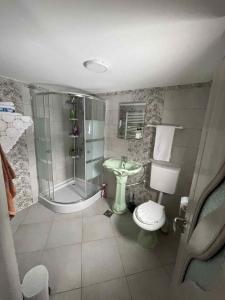 a bathroom with a shower and a toilet and a sink at Casa de sub pădure in Valcea +81 photos