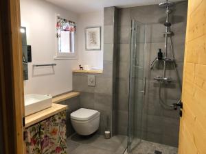 a bathroom with a shower and a toilet and a sink at Gîtes du Grand Replomb, Les Artistes, Piscine et Jacuzzi in Sainte-Agnès +20 photos