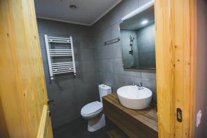 a bathroom with a sink and a toilet and a mirror at Bakuriani - Didveli Gallery B212 in Bakuriani +8 photos