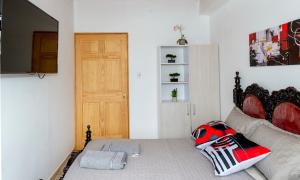 a bedroom with a bed and a television in it at Apartamento clásico Riosucio in Ruiosucio