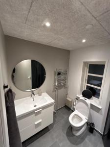 a bathroom with a toilet and a sink and a mirror at Grønningen Retreat in Billund