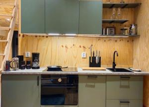 eine Küche mit grünen Schränken und einer Arbeitsplatte in der Unterkunft Panorama Studio - Sauna, Lakeview & Fireplace in Skaveröd + 19 Fotos