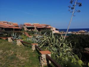 a yard with a fence and some plants and houses at CASA MUGHETTO R5055 WiFi, seafront, private sea access, swimming pool in La Maddalena