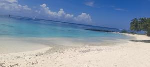 a beach with clear blue water and trees on it at Huahine's Place in HUH