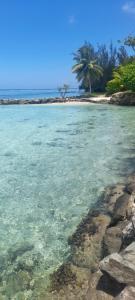 a beach with crystal clear water and palm trees at Huahine's Place in HUH