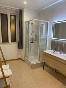 a bathroom with a shower and a sink at L'Idéal in Guillestre