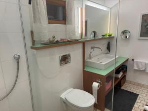 a bathroom with a toilet and a sink at Ferienwohnung Wildrose in Bad Mitterndorf +55 photos