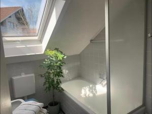 a bathroom with a bath tub with a plant in it at Gemütliche 3 Zimmerwohnung in Ühlingen-Birkendorf