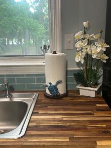 a roll of paper towels sitting on a counter next to a sink at Playing Hookie LLC in Dauphin Island +35 photos