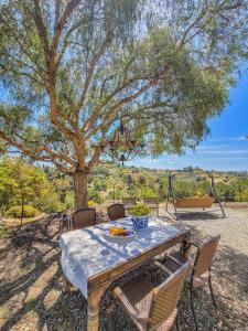 a table with a bowl of fruit on it under a tree at Beverlys Hilltop Retreat in Fallbrook