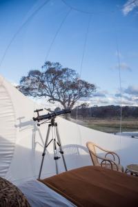 a camera on a tripod in a tent with a tree at Captain Moonlite Bubbletent at Mirumiru in Tenterfield