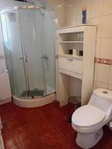 a bathroom with a shower and a white toilet at casona amplia y comoda in La Serena