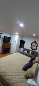 a bedroom with a large bed and a flat screen tv at casona amplia y comoda in La Serena +3 photos