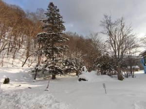 a snow covered yard with a christmas tree in the background at 源泉ログの宿 in Sobetsu